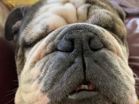 Otis