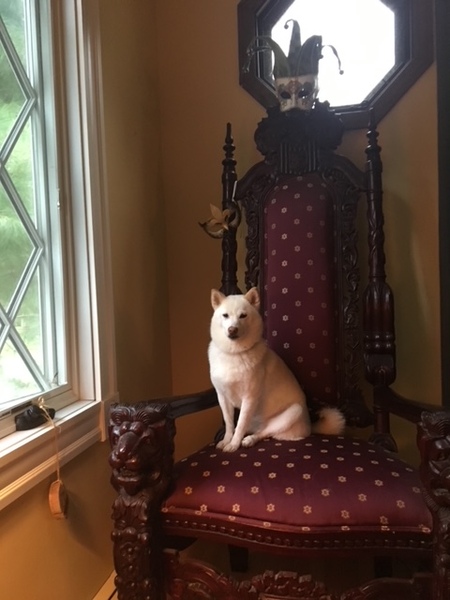 Rosie