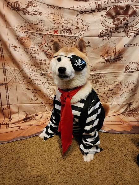 Harvey