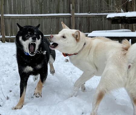 Gordie and Butters