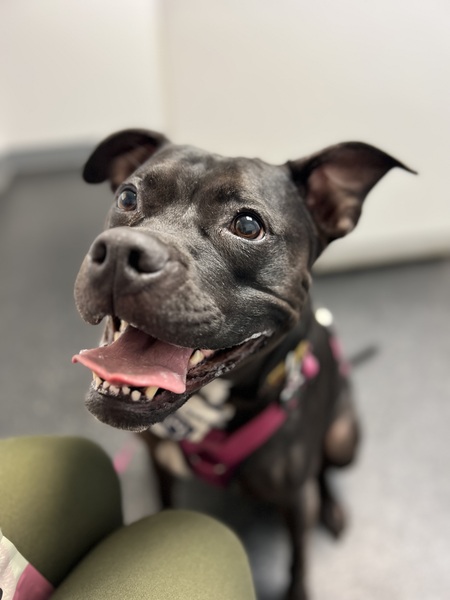 Kali