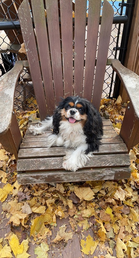 Sophie