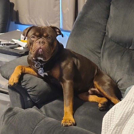 Charlie
