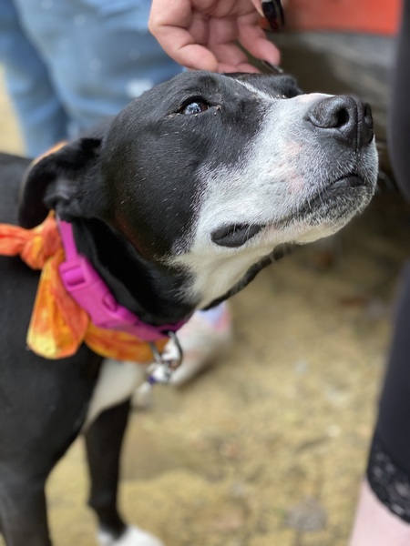 Penelope 