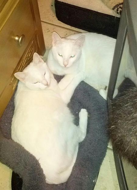 Mama & Milo