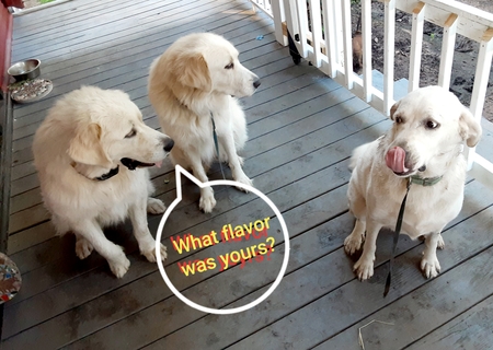 MICHEE, CHARLOTTE, SALLY