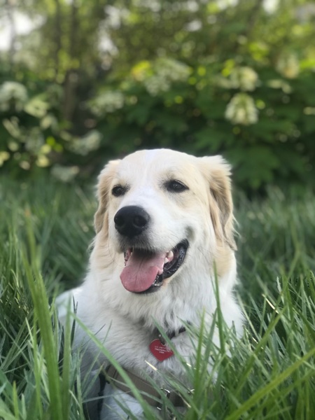 Macy