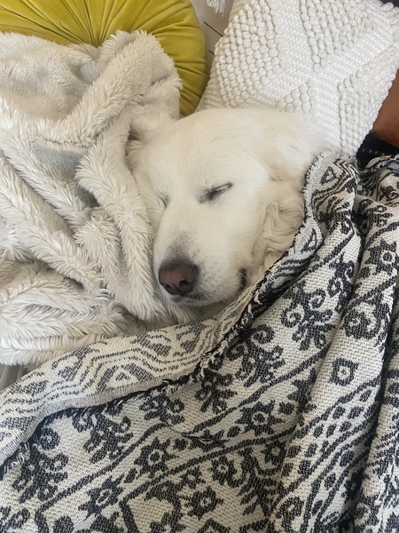 Wesson