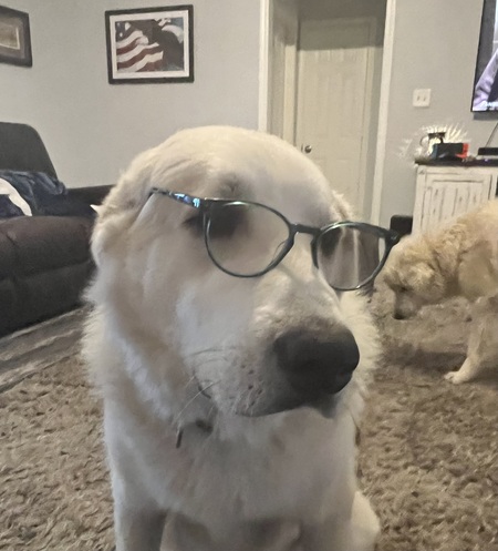 Max