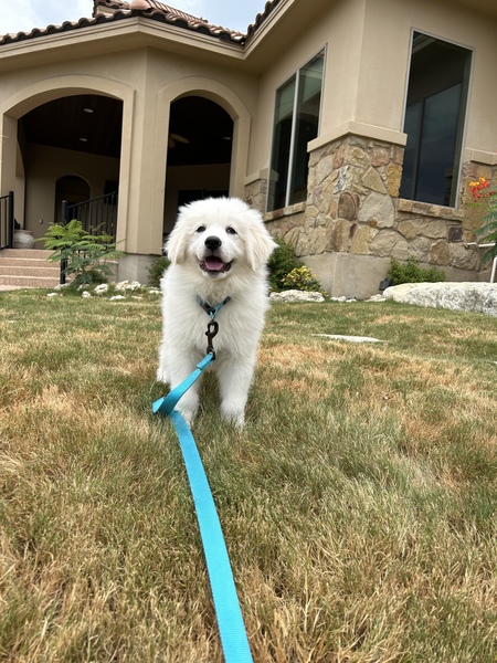 Denali