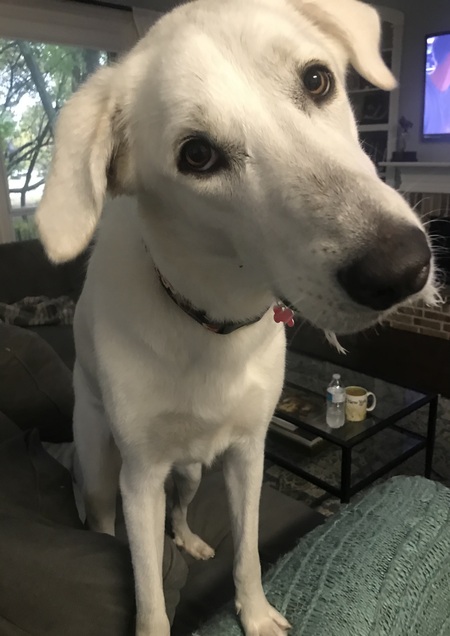 Chloe