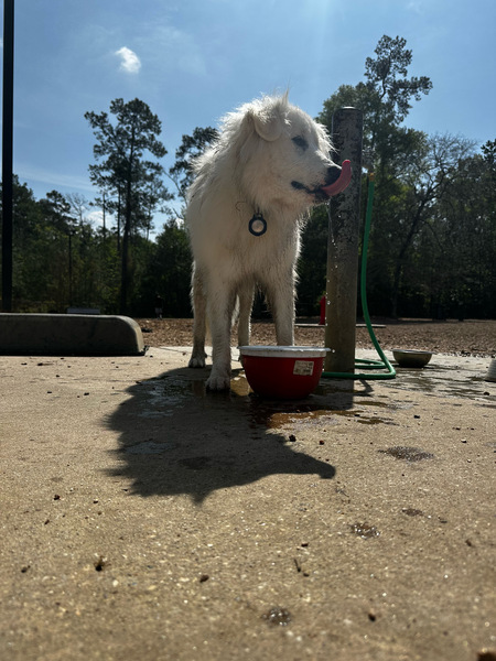 Yuki