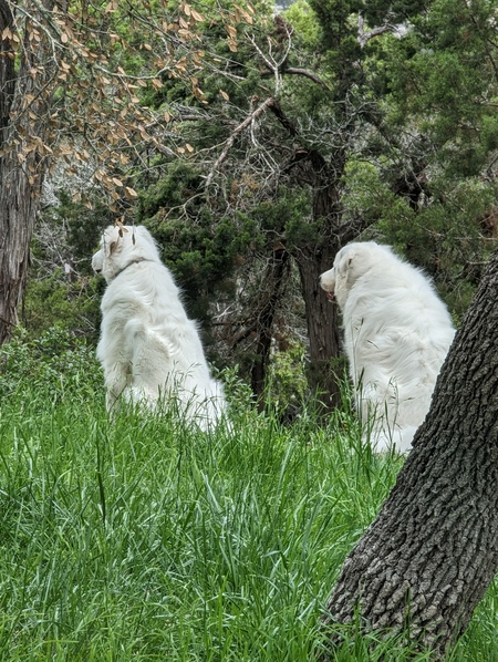 Charlie & Regi 