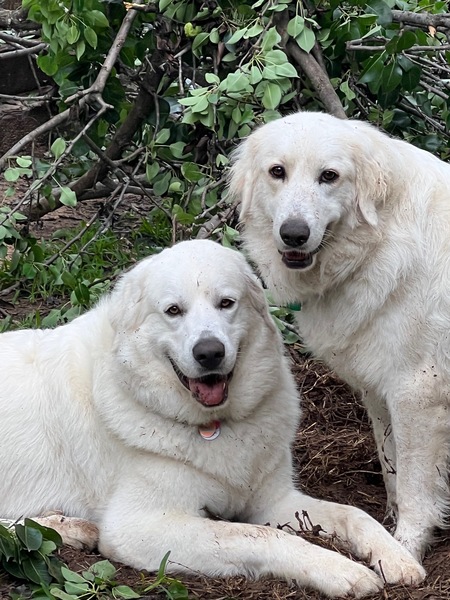 Josie and Annie
