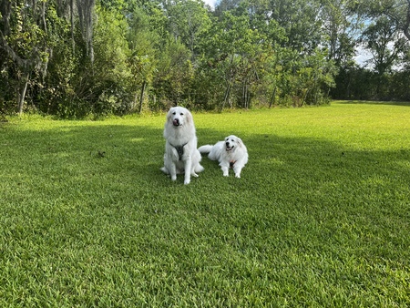 June Bug & Ruby Jane