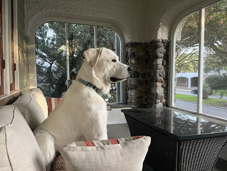 Gus aka “Judge Bond”
