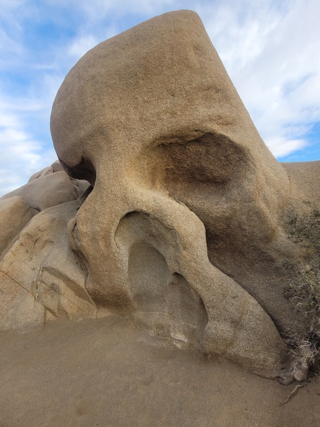 'Skull Rock' in Joshua Tree National Park, CA