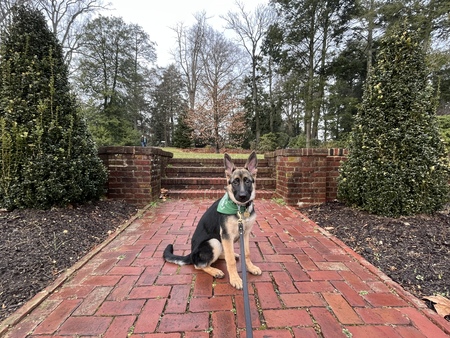 Jade