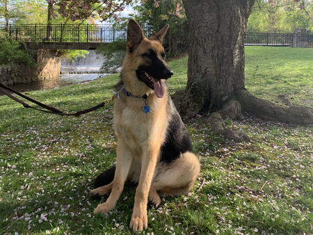 Jax