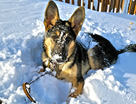 Fargo