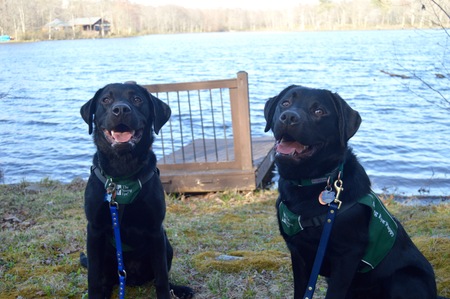 Percy and Phoenix