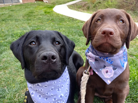 Ruby and Lulu