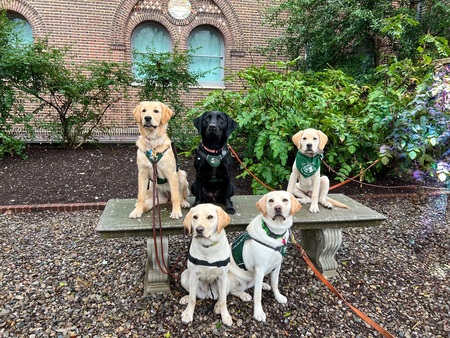 Trish , Esme, Joel, Goldy, and Gia  