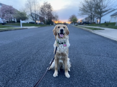 Oakley