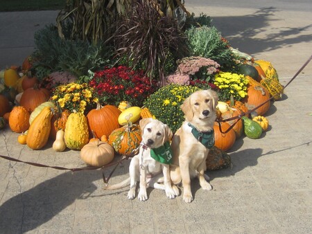 Tessa and Eileen