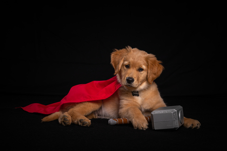 Thor