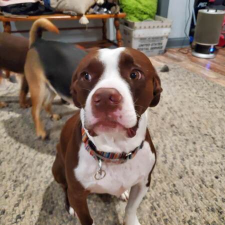 Deuce