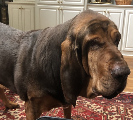 Jethro
