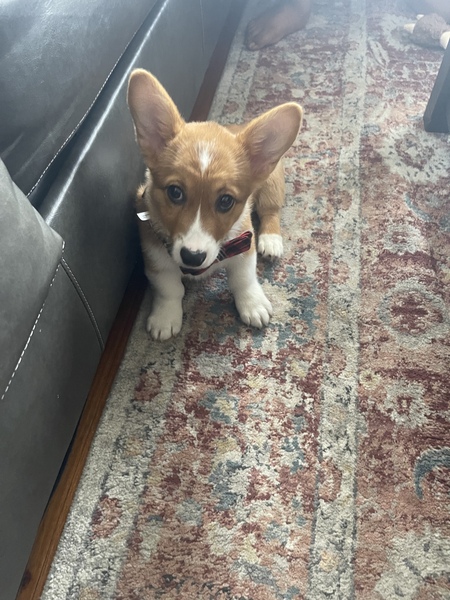 Max