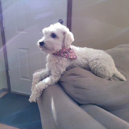 Ruby