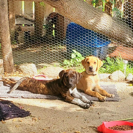 Murphy & Cooper