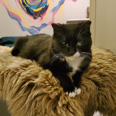 Sam