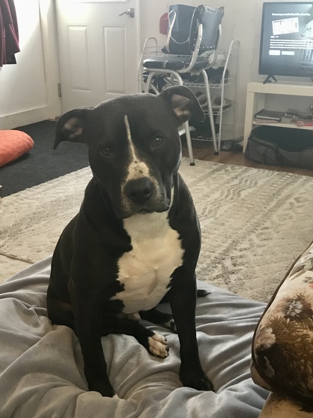Max 