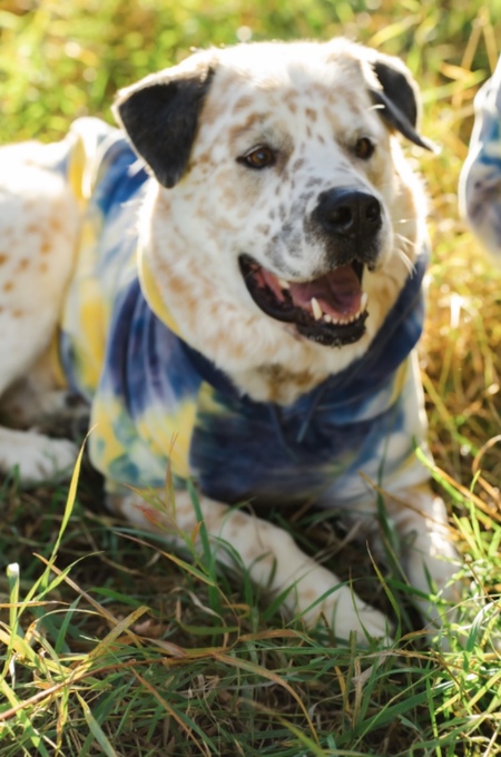 Zeus