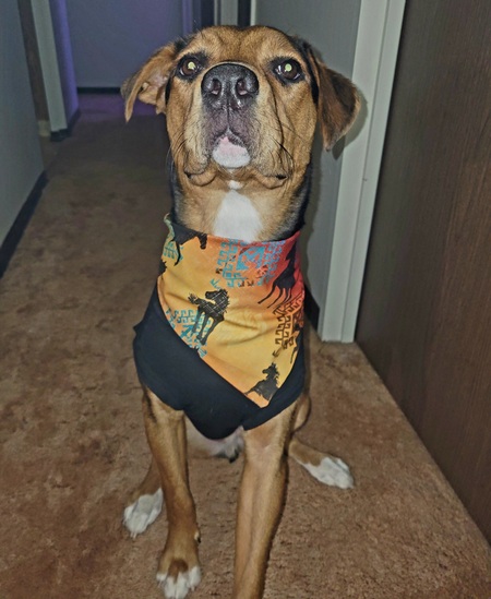 Gunner