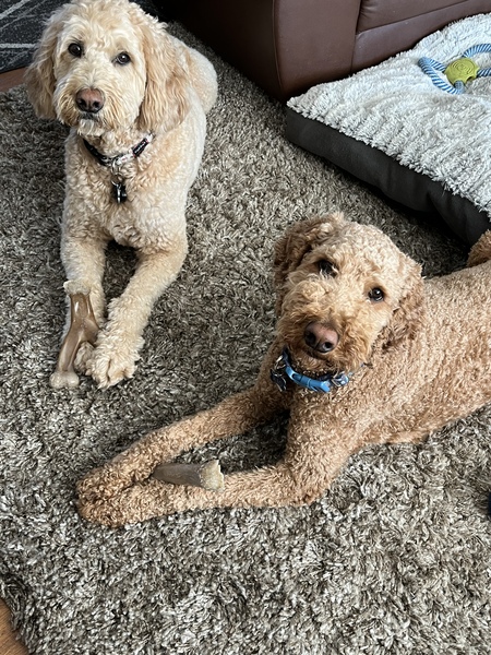Baxter & Rio