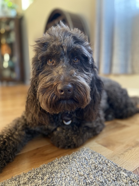 Rosie