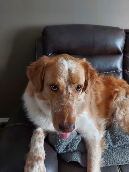 Marley