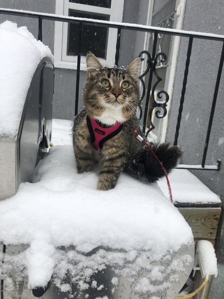 Chloe