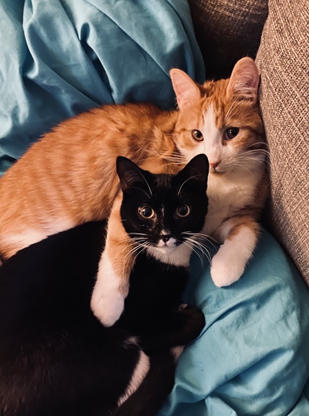 Billie & Ollie 