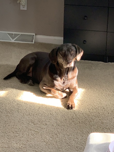Rosie