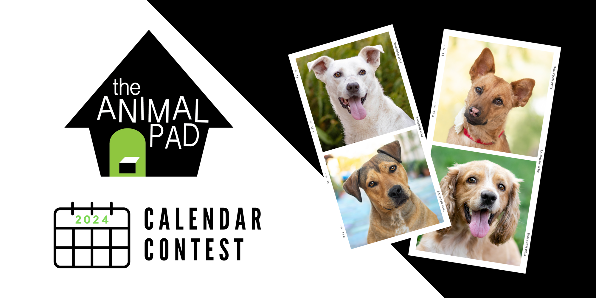 The Animal Pad The Animal Pad 2024 Calendar Contest the-animal-pad-the-animal-pad-2024-calendar-contest