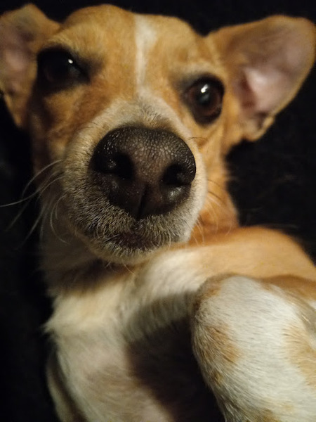 Thelma Daisy