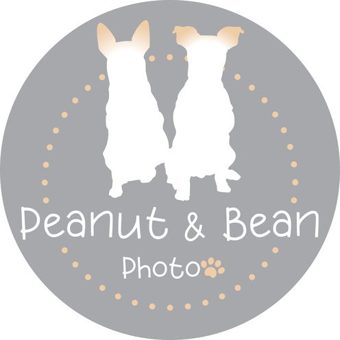 https://www.peanutandbeanphoto.com