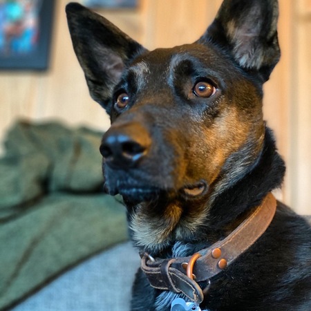 Ranger