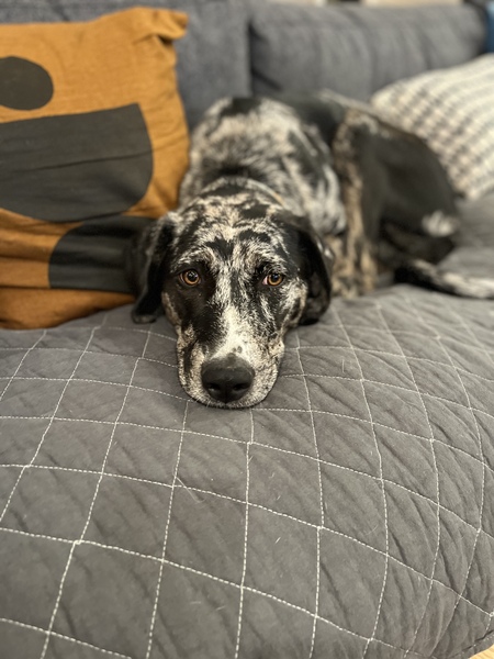 Coco